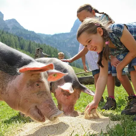 Apartament Haus Vogelmuehle