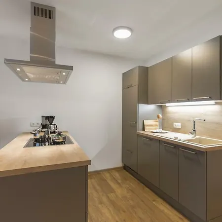 Haus Vogelmuehle * Flachau